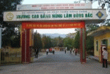 Chỉ tiêu tuyển sinh CĐ Nông Lâm Đông Bắc năm 2012
