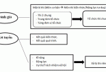 Tuyển sinh 2014: ĐH Quốc gia TPHCM đề xuất một kỳ thi chung